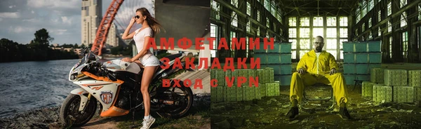 шишки Мегион